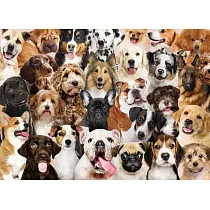 All the Dogs 500 Piece Jigsaw Puzzle