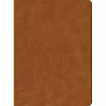 CSB Lifeway Women’’s Bible， Butterscotch Genuine Leather， Indexed