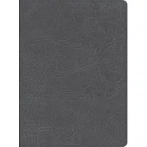 CSB He Reads Truth Bible， Smoke Leathertouch， Indexed