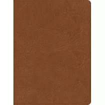CSB He Reads Truth Bible， Saddle Leathertouch