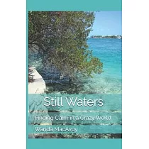 Still Waters