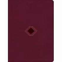 CSB Day─By─Day Chronological Bible， Burgundy Leathertouch