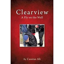 Clearview： A Fly on the Wall