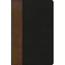 KJV Personal Size Giant Print Bible， Black/Brown Leathertouch