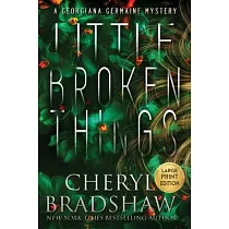 Little Broken Things， Large Print Edition