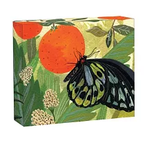 Butterflies： Quicknotes