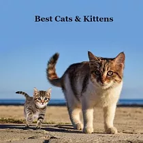 Best Cats and Kittens for Kids Book： Great Way for Children to Meet the Best Pet Cat and Kitten Breeds