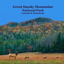 Great Smoky Mountains National Park Kids Book： Great Way for Kids to See the Animals and Attractions in Smoky Mountains National Park