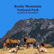 Rocky Mountain National Park Animals & Attractions Kids Book： Great Way for Kids to See the Animals and Attractions in Rocky Mountain National Park