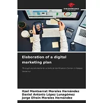 Elaboration of a digital marketing plan