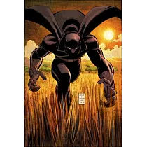 Black Panther by Reginald Hudlin Omnibus John Romita Jr. Cover