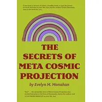The Secrets of Meta─Cosmic Projection