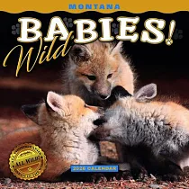 2026 Montana Wild Babies Mini Wall Calendar