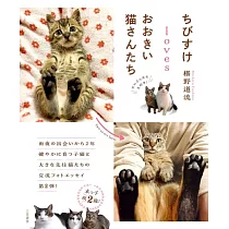 ちびすけlovesおおきい猫さんたち