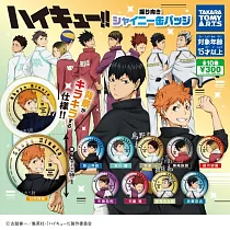 轉蛋 排球少年閃亮回頭徽章(全10款)