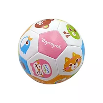 【Toyroyal 樂雅】歡樂熊遊戲球