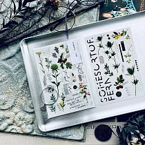 【 羊君 somesortof.fern 】 薊與果 thistles and fruits.|轉印貼紙