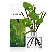 【cocodor】森林系列擴香瓶120ml─ 檸檬尤加利