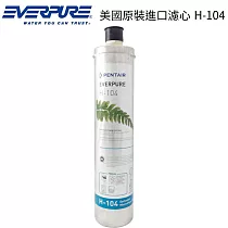 EVERPURE 美國原裝進口濾心 H─104