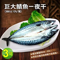 【優鮮配】北極洋海域鯖魚一夜干3尾(380g/尾)免運組