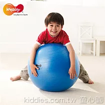 Weplay 防爆球