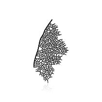 moorigin / 葉脈胸針 M / 黑