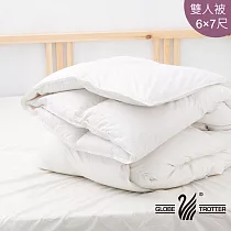 【遊遍天下】MIT台灣製雙人天然水鳥羽絲絨被F白色