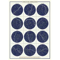 美國 Cavallini & Co. wrap 包裝紙/海報 十二星座