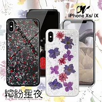 CITYBOSS for iPhone Xs/ iPhone X 繽紛星夜全包防滑保護殼─銀箔飛燕 碎紅 兩款任選銀箔飛燕