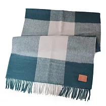 COACH 三色大格紋羊毛流蘇圍巾-綠