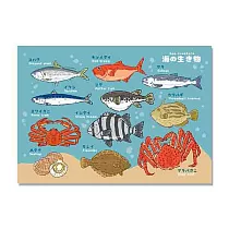【賽先生科學工廠】A4圖鑑海報─海底圖鑑(2款) 彩色海洋生物