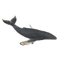 【永曄】883472 collectA 座頭鯨