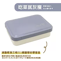 【DR.Story】創新設計超便攜飲食控管211 餐盤便當盒─1250ML (211餐盤 減脂便當盒) 吃菜就灰瘦