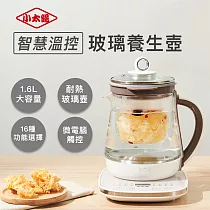 小太陽智慧溫控玻璃養生壺TE─60