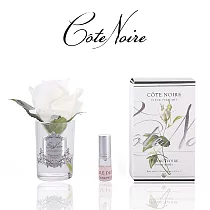 【法國 Cote Noire 寇特蘭】小朵玫瑰香氛花透明瓶(附贈5ml精油x1) 象牙白玫瑰透明瓶