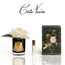 【法國 Cote Noire 寇特蘭】大朵玫瑰香氛花黑瓶(附贈10ml精油x1) 粉白玫瑰香氛花黑瓶
