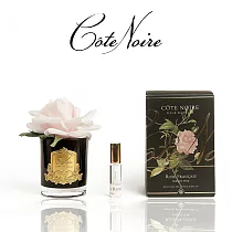 【法國 Cote Noire 寇特蘭】大朵玫瑰香氛花黑瓶(附贈10ml精油x1) 法式粉紅玫瑰香氛黑瓶