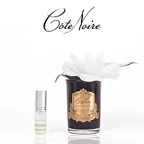 【法國 Cote Noire 寇特蘭】單朵梔子花香氛花透明瓶&黑瓶(附贈5ml 精油x1) 槴子花香氛花黑瓶
