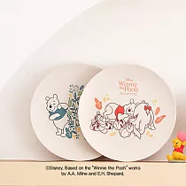2入迪士尼小熊維尼盤子 24cm 餐盤 餐具 橘色+綠色