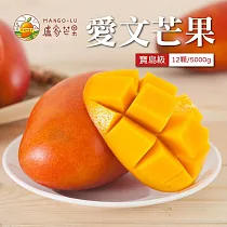 【枋山盧家】寶島級芒果12入禮盒(5kg/盒)