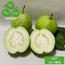 預購【綠創頂級芭樂】100%友善耕種 高雄大樹產地直送─珍珠芭樂5台斤(約6─8顆)