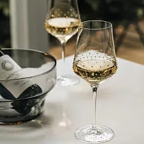 GRANDI|極光490會呼吸的紅酒杯490ml─2入組 極光490