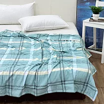 澳洲Simple Living 竹纖維防蹣抗菌涼被5x6.2尺(紳士品格─綠)