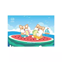 【Shiba Says柴語錄】軟式 珪藻土地墊 防潮踏墊 吸水 珪藻土軟地墊 60x40cm 夏日海灘遊