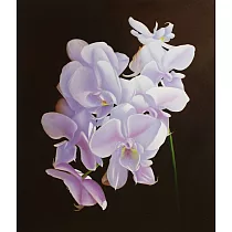 【玲廊滿藝】陳柏言─陽光下的綻放45.4x53cm