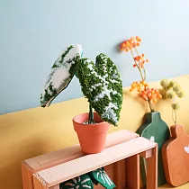 【俄羅斯刺繡】桌上的小毛觀葉─新手材料包