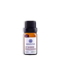 【NeuroFuture腦未來開發】腦科學精油_10ml(欣欣307)