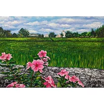 【玲廊滿藝】Su─田野鄉情~日日春24x35cm