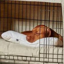 BOWSERS 極適寵物小骨頭抱枕 極簡米色 (靠枕 枕頭 手工製作)