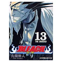 BLEACH 死神 13